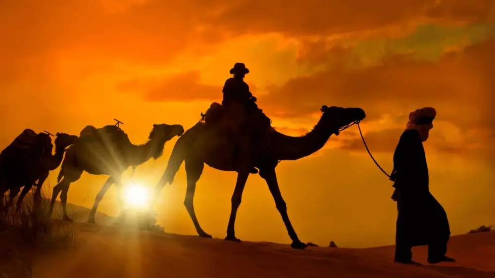 5 DAYS DESERT TOUR FROM TANGIER TO MARRAKECH